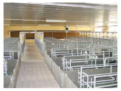 Thiết bị chăn nuôi 6