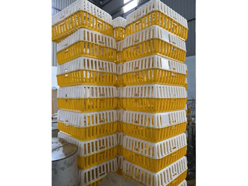 Thiết bị chăn nuôi 15