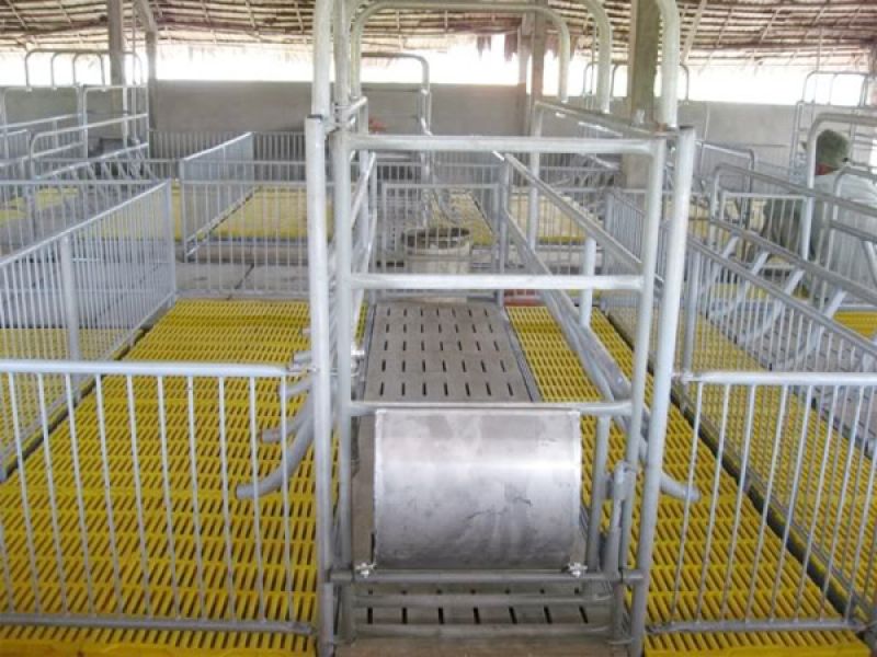 Thiết bị chăn nuôi 3