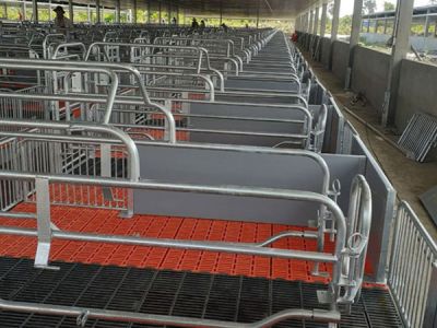 Thiết bị chăn nuôi 9