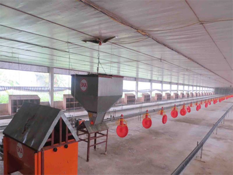 Thiết bị chăn nuôi 1