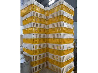 Thiết bị chăn nuôi 15