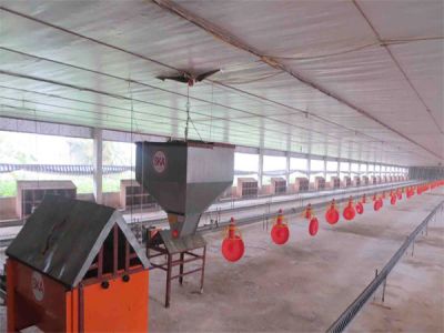 Thiết bị chăn nuôi 1