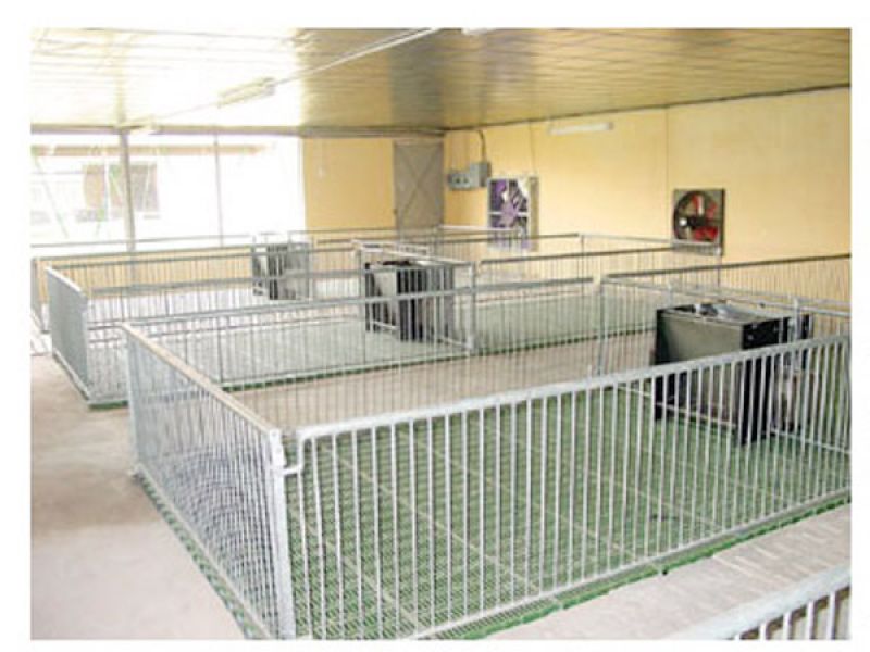 Thiết bị chăn nuôi 5